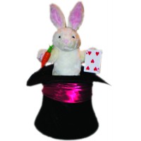 Rabbit In The Hat